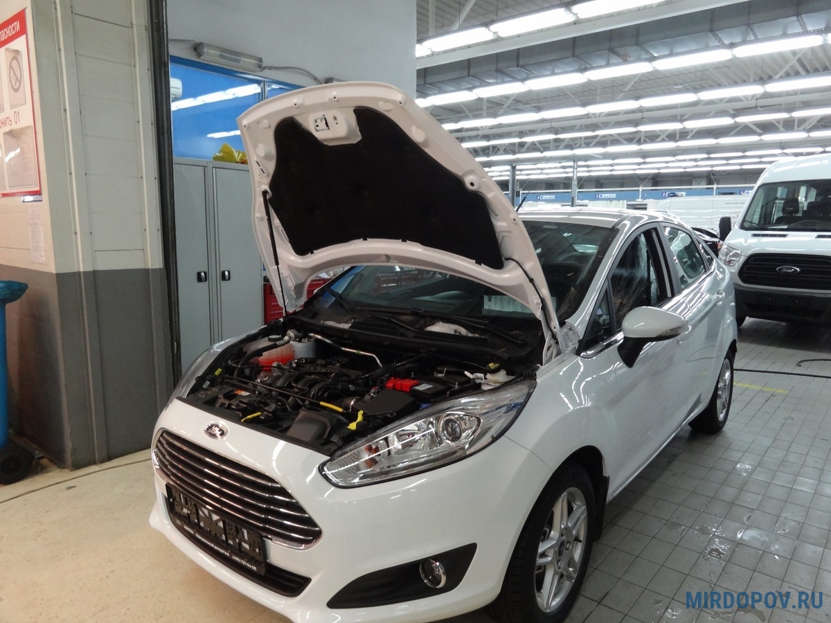 Амортизатор капота (упор) Ford Fiesta (2015-2019) № KU-FD-FI06-00 - купить  по лучшей цене на mirdopov.ru